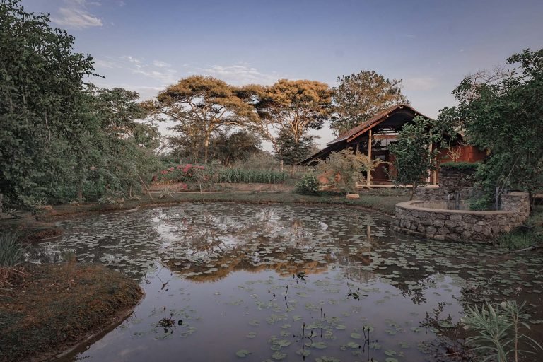 ourney to Tranquility in Tirappane