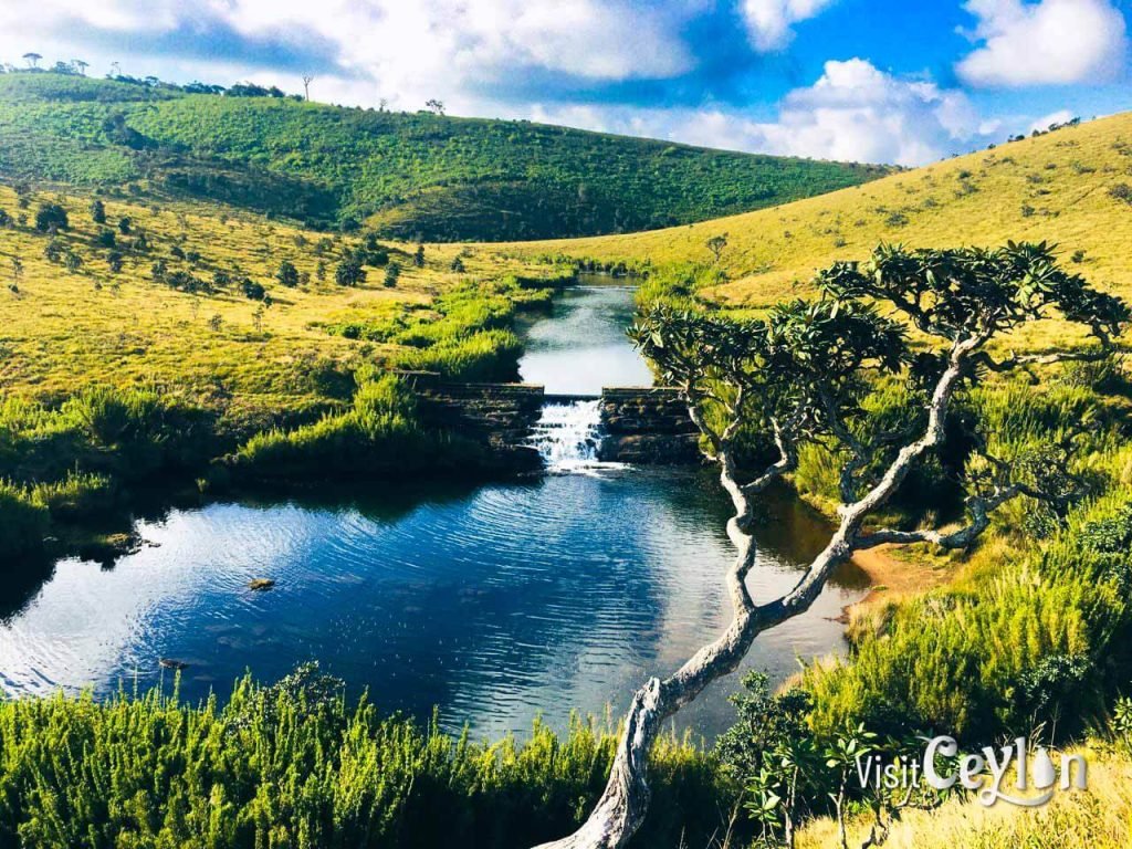 Horton Plains – visit to the edge of World’s End 1 Horton Plains – visit to the edge of World’s End