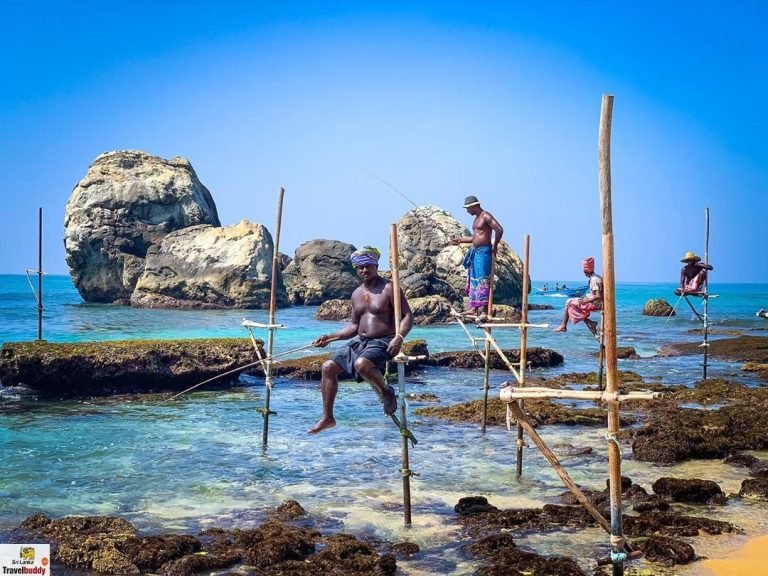 Koggala stick fishing
