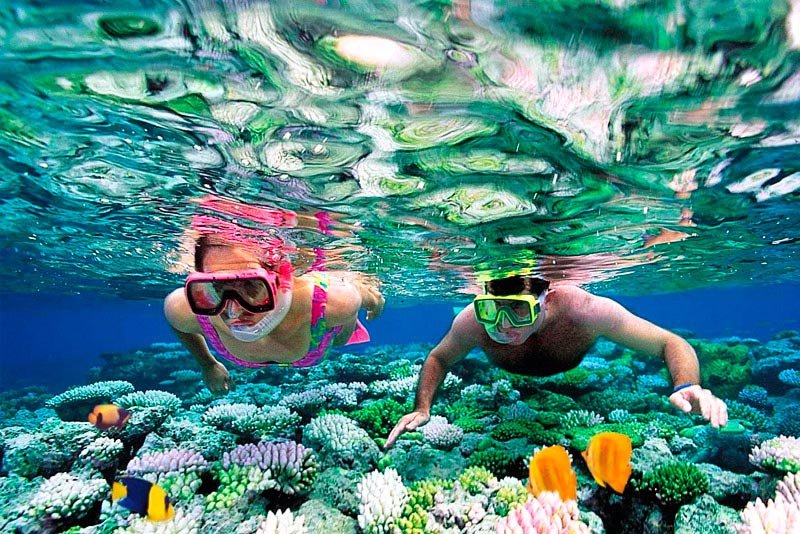 Unawatuna Snorkeling among colorful coral reefs