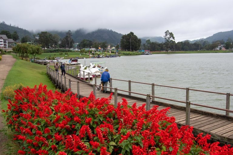 A Leisurely Day in Little England