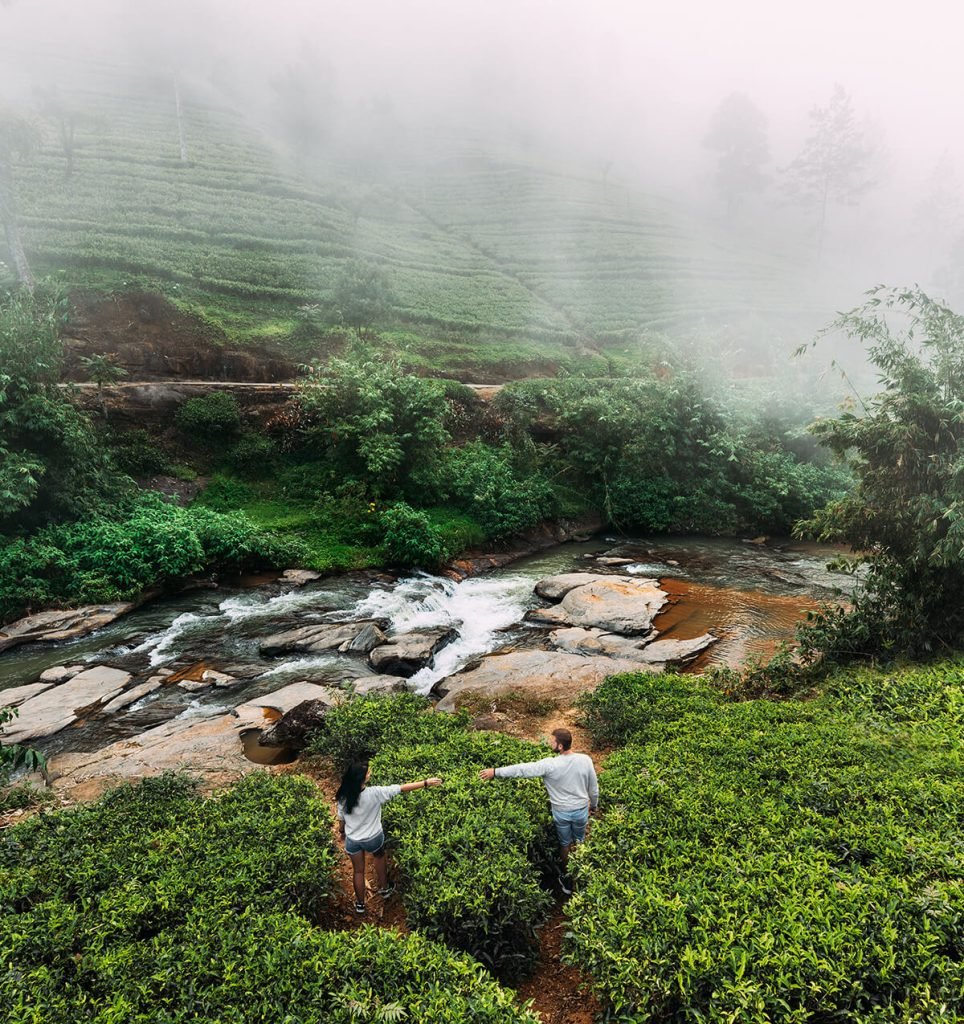 Nuwara Eliya Tea Trails – walk through plantations