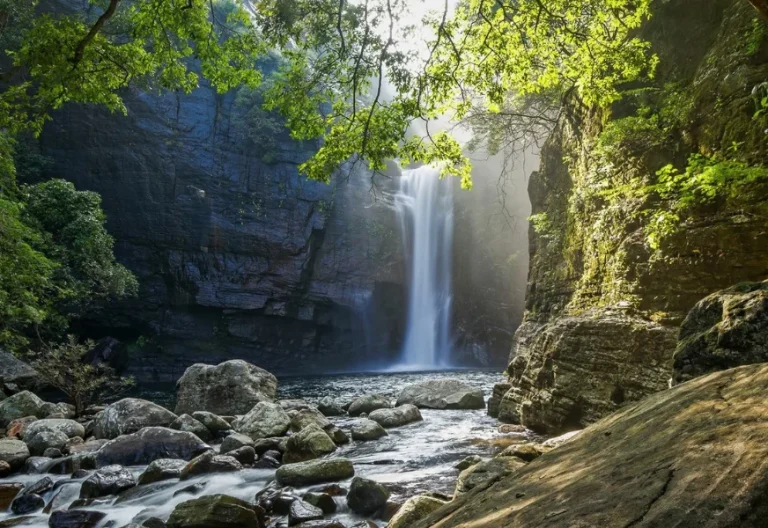 Knuckles Range Hike – with hidden waterfalls