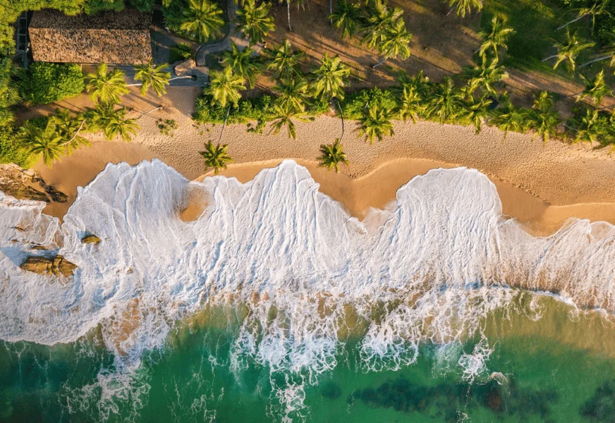 Arugam Bay Surfing on perfect tropical waves