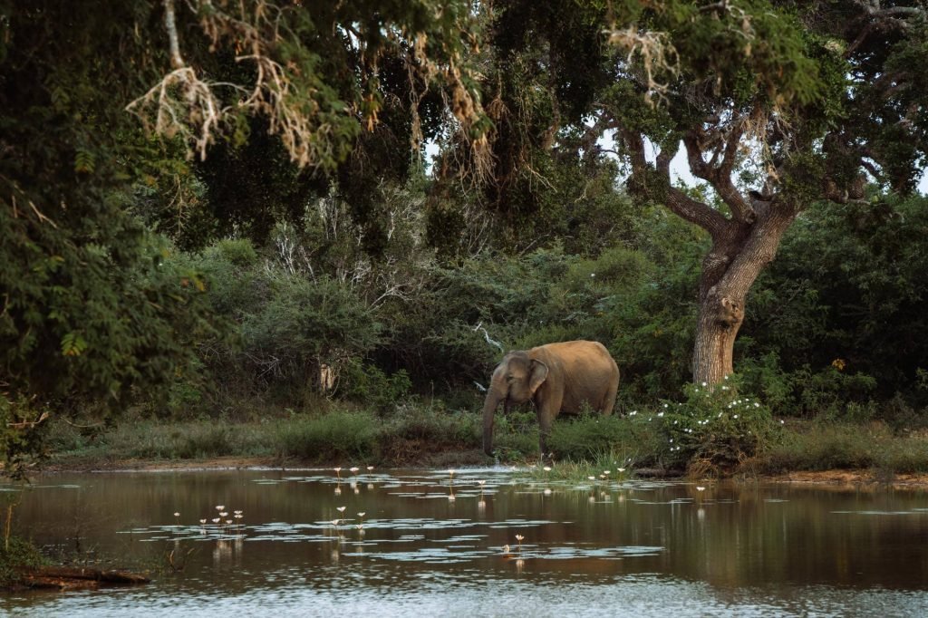 yala national park bezoeken