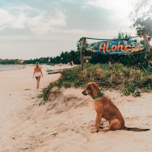 Arugam bay guide things to do beach