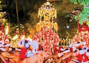 Kandy Perahera Festival Tour Package 7