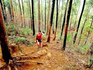 ella rock hike trail