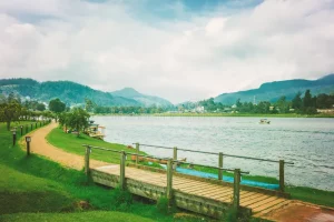 gregory lake nuwara eliya landscape sri lanka 113292560