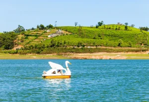 lake gregory park activities