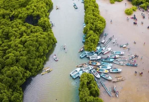 negombo lagoon in sri lanka