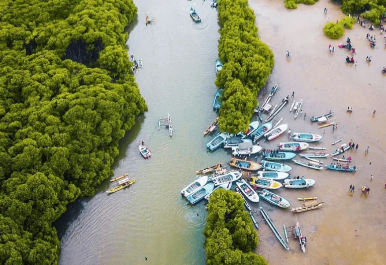 negombo lagoon in sri lanka
