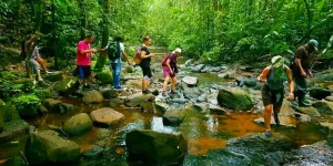 sinharaja trekking Sri Lanka